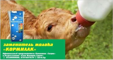 сельхоз животных in Кыргызстан | ГРУЗОВИКИ: Сухое молоко зцм. Заменитель цельного молока. Для вскармливания