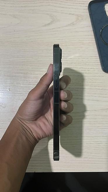 canon 2520: IPhone 13 Pro Max, Б/у, 128 ГБ, Alpine Green, Чехол, 83 % — 5