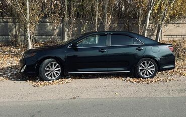 надом ак босого: Ижарага берем Toyota Camry, Күнүмдүк, Айдоочусуз, | Күрөө
