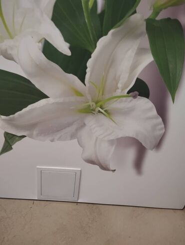 Натяжной потолок: Натяжной потолок 3D потолки, Глянцевое, Матовое Бесплатная консультация, Бесплатный замер, Гарантия — 19