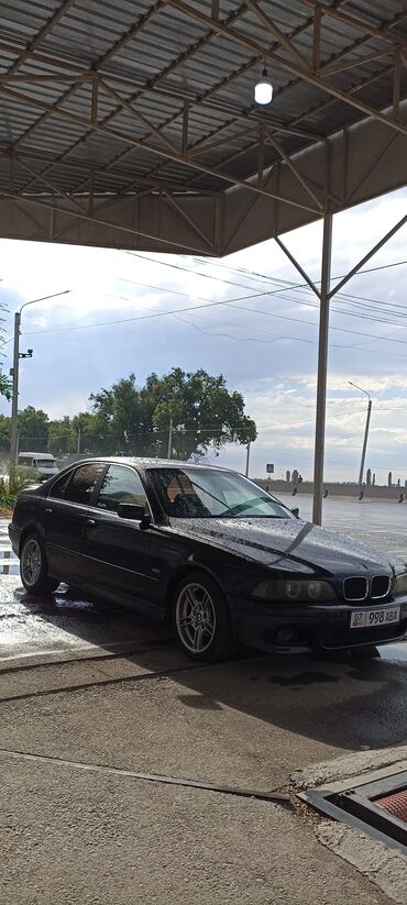 BMW: BMW 5 series: 2002 г., 2.5 л, Автомат, Дизель, Седан — 3
