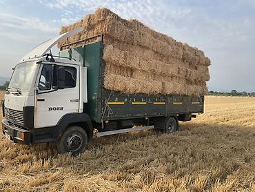 мерседес ман: Грузовик, Mercedes-Benz, Стандарт, 5 т, Б/у — 5