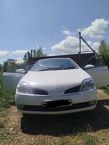 maxima j30: Nissan Primera: 2003 г., 1.8 л, Автомат, Бензин — 4