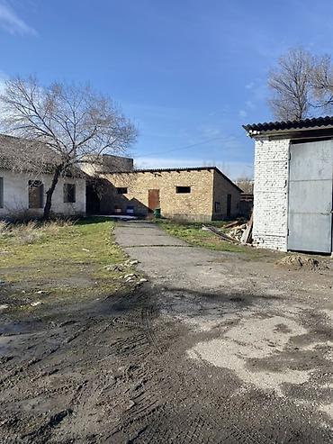 Аренда складов и мастерских: Просторная ограждённая территория под — 6