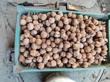 грецкие орехи 1 кг цена: Продаю грецкие орехи 2мешка