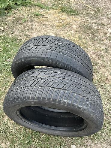 maxxis 29: Пара автомобильных шин 225/55 R17 H - Размер: 225/55 R17 - Индекс — 2