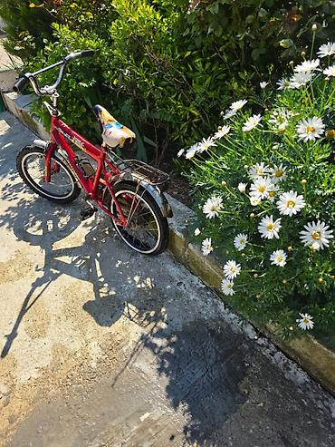Velosipedlər: Uşaq velosipedi – 16" təkərli, şəhər və həyət sürüşləri üçün - Rəng — 3