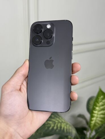 14 про макс 512 гб цена бишкек: IPhone 14 Pro, Б/у, 256 ГБ, Черный, Защитное стекло, Чехол, В рассрочку, 92 %