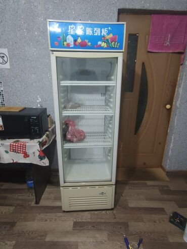 переносной холодильник: Муздаткыч Ardesto, Колдонулган, Бир камералуу, De frost (тамчы), 55 * 170 * 50