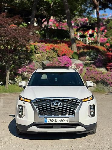 passat cc: Hyundai Palisade: 2019 г., 2.2 л, Автомат, Дизель, Кроссовер — 1