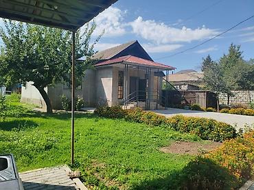 Дома: Дом с участком и садом. Можно разделить участок на две части (флажок) — 1