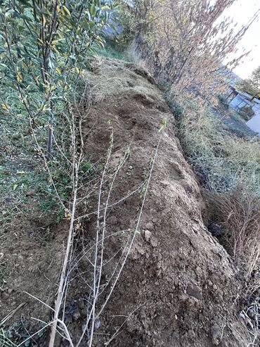 шевроле чья фирма: НАВОЗ! НАВОЗ! НАВОЗ!
ОТДАМ ДАРОМ ! Бесплатно!