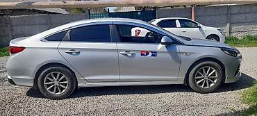 руль sonata: Hyundai Sonata: 2019 г., 2 л, Типтроник, Газ, Седан — 1