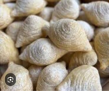 Sifarişlə əl işləri: $əkərburanin 1 dənəsi 1 m, paxlavanın 1 kq 16 m, badamburanin 1 dənəsi — 4