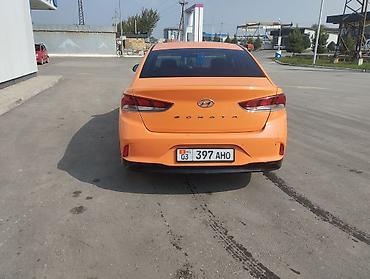 солярис 2 поколения: Hyundai Sonata: 2019 г., 2 л, Автомат, Газ, Седан — 6