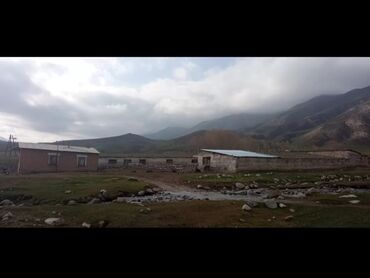 Сельхоз предприятия: Продаётся кашара Иссык-Кульский район село Ананьево. Общая территория at lalafo.kg — 3 Сельхоз предприятия: Продаётся кашара Иссык-Кульский район село Ананьево. Общая территория — 3