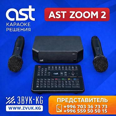 Караоке-система AST ZOOM Комплект: - центральный блок AST; - два