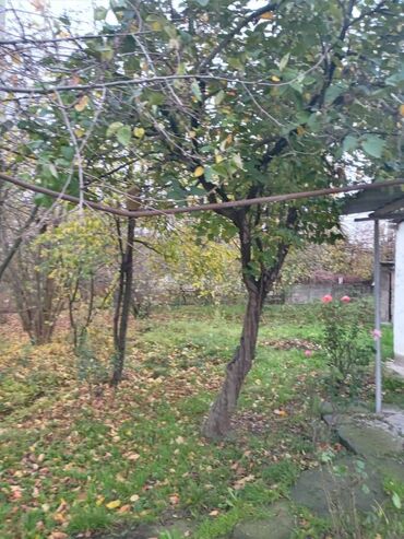 Həyət evləri və villaların satışı: 4 otaqlı, 110 kv. m, Kredit yoxdur, Təmirsiz — 6