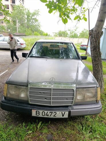 мерседес дипломат цена: Mercedes-Benz W124: 1987 г., 2.5 л, Автомат, Дизель, Седан