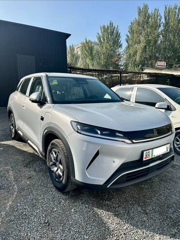 козырек на авто: BYD : 2025 г., Электромобиль, Кроссовер