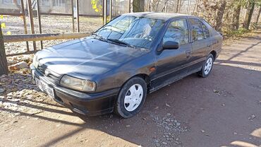 ниссан тино цена: Nissan Primera: 1992 г., 2 л, Механика, Бензин, Седан