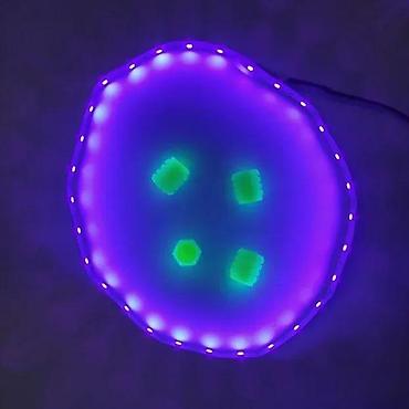 maxi staklene case: 5050 UV LED TRAKA 395NM - 405NM ULTRA VIOLET NAJJAČA 12V | *U ponudi — 4