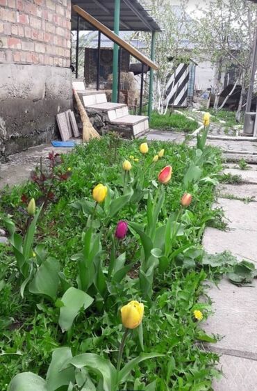 Продажа домов: Дача, 70 м², 4 комнаты, Агентство недвижимости — 10