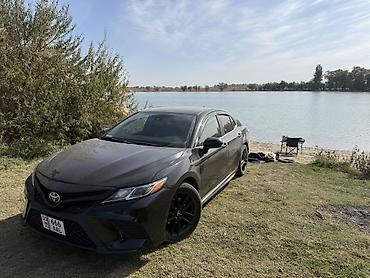 windom 2001: Toyota Camry: 2019 г., Бензин, Седан — 8