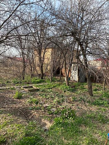 Другие удобства для дома и сада: Другие удобства для дома и сада, Самовывоз — 7