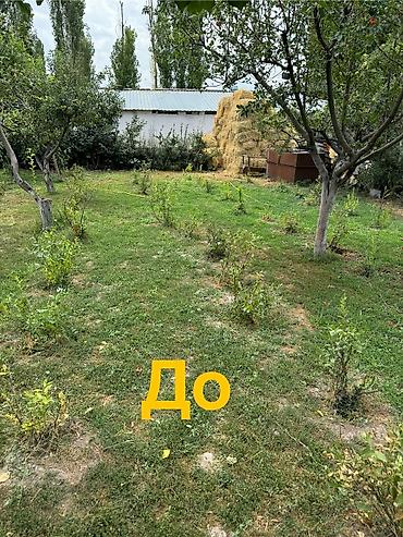 Установка другой техники: 🚨 УСТАЛИ ТАСКАТЬ ВЕДРА? 💧 КАПЕЛЬНЫЙ ПОЛИВ "ПОД КЛЮЧ" — ЗАБУДЬТЕ О — 4