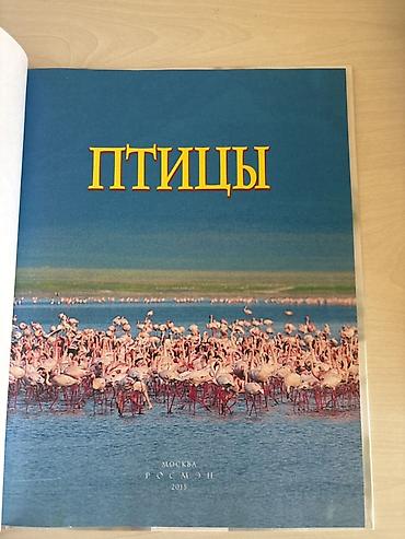 Спорт и хобби: Məhsul: “Птицы” – Uşaq Ensiklopediyası (rus dilində) TER TEMIZ GUL — 4