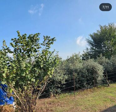 Həyət evləri və villaların satışı: Astara rayonunun Səncərədi kəndində yolun kənarında Futbol stadionun -da lalafo.az — 7 Həyət evləri və villaların satışı: Astara rayonunun Səncərədi kəndində yolun kənarında Futbol stadionun — 7