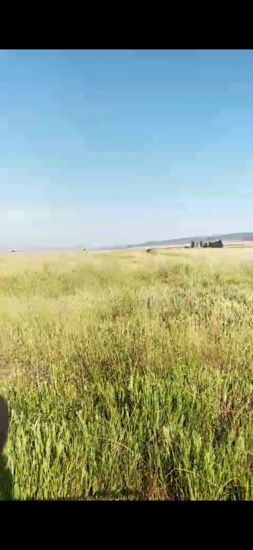 Torpaq sahələrinin satışı: 5000 sot, Kənd təsərrüfatı, Mülkiyyətçi, Kupça (Çıxarış) — 9