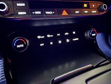 Kia: Kia Stinger: 2019 г., 2 л, Автомат, Бензин, Фастбек — 16