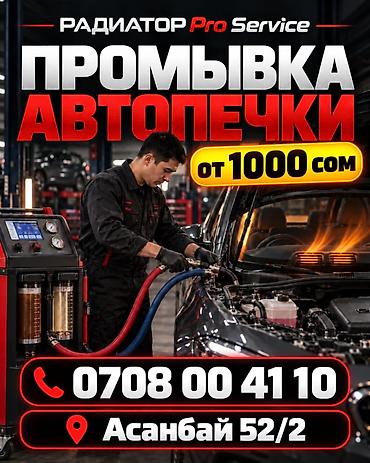 роял лондон: Промывка автопечки — Radiator Pro Service Профессиональная промывка — 1