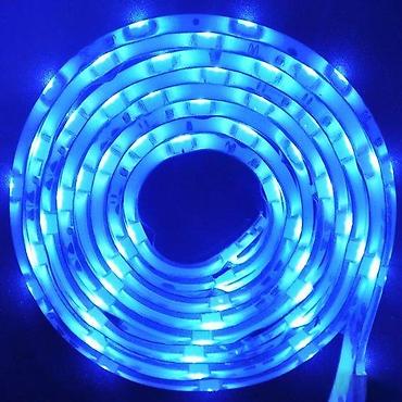 drveni stol: Vodootporna SMD LED traka – plavo svetlo, dužina 1 m - Tip: SMD LED — 2