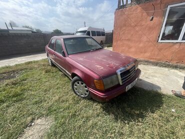 Mercedes-Benz: Mercedes-Benz 230: 1989 г., 2.3 л, Автомат, Дизель, Седан