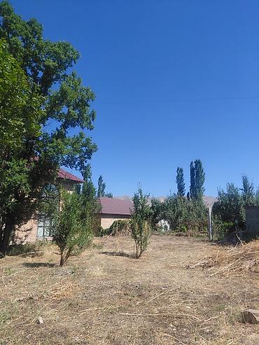 15 соток, Курулуш, Кызыл китеп — 4