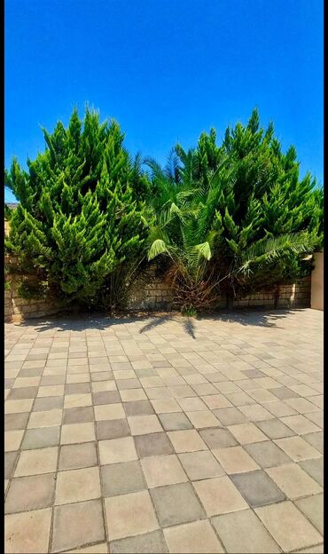 Həyət evləri və villaların satışı: Fatmayı 3 otaqlı, 120 kv. m — 7