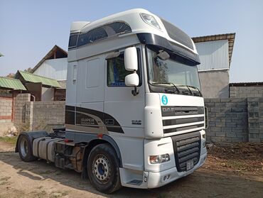 переднее правое крыло: Тягач, DAF, 2011 г.