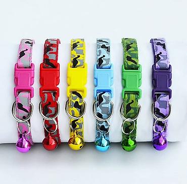 Зоотовары: Продаю новые в отличном качестве лотки крытые и открытые,а так же at lalafo.kg — 24 Зоотовары: Продаю новые в отличном качестве лотки крытые и открытые,а так же — 24