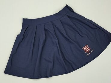 spódniczko spodenki: Skirt, Harry Potter, 15 years, 164-170 cm, condition - Good