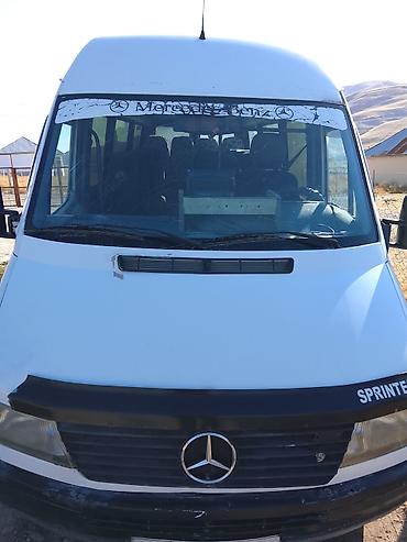 Mercedes-Benz Спринтер: 1998 г., 2.9 л, Механика, Дизель, Бус