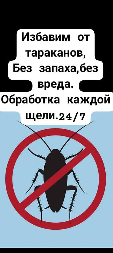Профессиональная дезинсекция от тараканов.Если соседям тоже at lalafo.kg Профессиональная дезинсекция от тараканов.Если соседям тоже