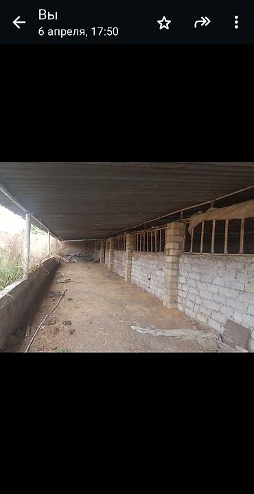 ferma satan: 16 sot, Biznes üçün, Mülkiyyətçi, Kupça (Çıxarış), Bələdiyyə — 4