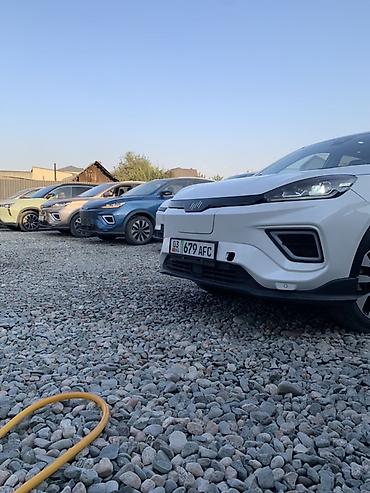 Другие аксессуары внешнего декора: Линейка кроссоверов (на фото — несколько экземпляров одного семейства) — 12