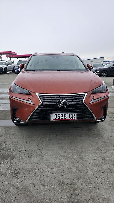 Lexus NX: 2019 г., 2 л, Автомат, Бензин, Внедорожник