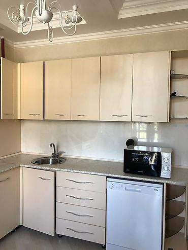 Долгосрочная аренда квартир: 2 комнаты, С мебелью полностью — 3