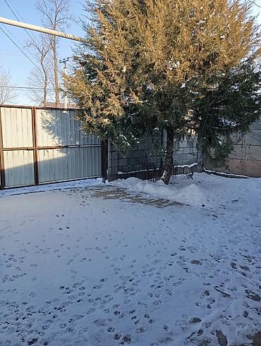 Продажа коттеджей и домов: 🔥Срочно🔥 Продажа уютный дом с. Ленинский 4 х комнатная свежий ремонт — 1