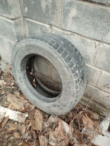 продаю шины бишкек: Шины 215 / 70 / R 17.5, 1 шт, Грузовики/Автобусы, Continental